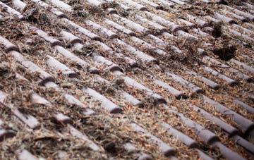 Whitecraig roof cleaning companies