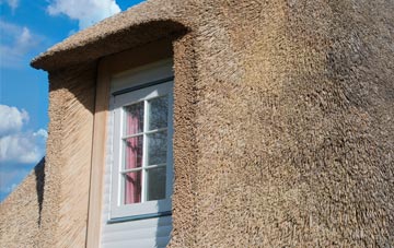 Whitecraig thatch roof disadvantages