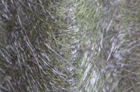 Whitecraig fibreglass roof work